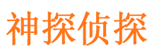 元宝山侦探公司